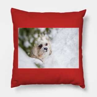 Snowy and White Pillow