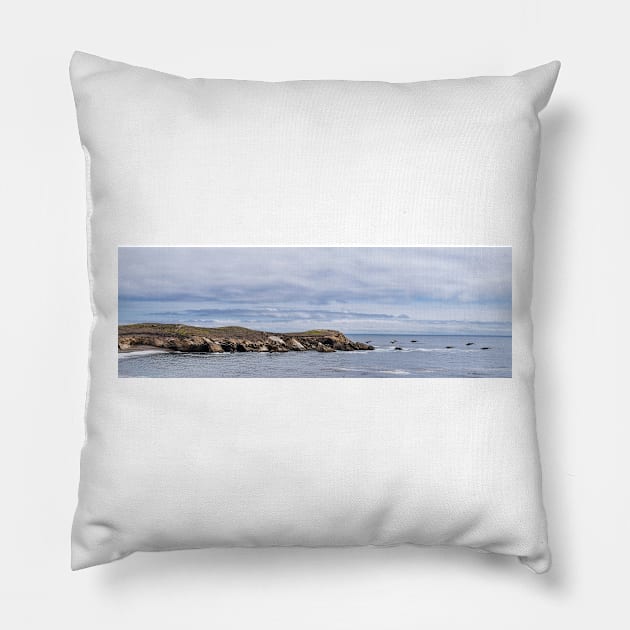 Pelican Race Pillow by MCHerdering