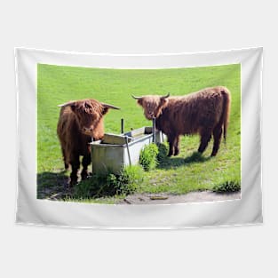 Highland Cattle in a Field Tapestry