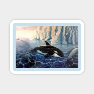 Orcas (Killer Whales) Art Design Magnet