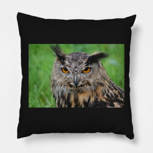 european eagle owl Pillow