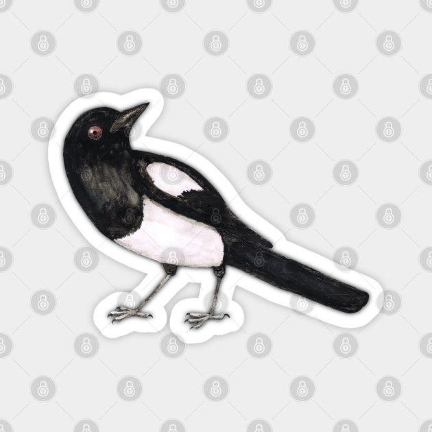 Magpie ink drawing Magnet by Bwiselizzy