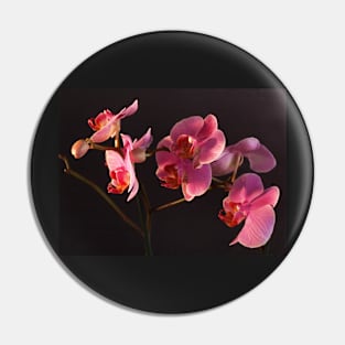 Orchid Pin