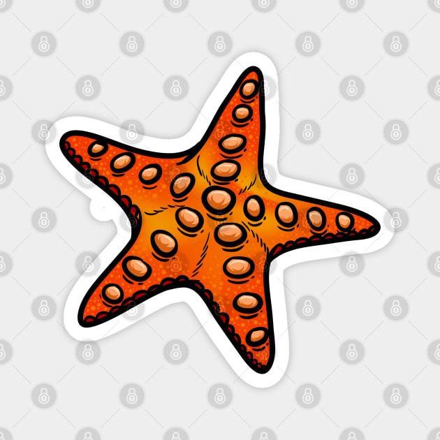 Starfish Magnet by Sticker Steve