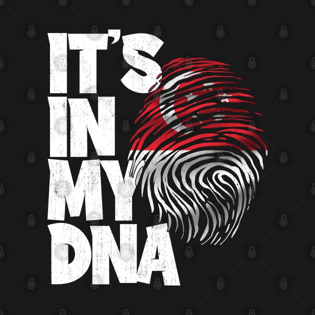 IT'S IN MY DNA Singapore Flag Men Women Kids by simonStufios