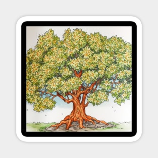 Sweetgum tree Magnet