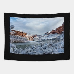 Colorado River Tapestry