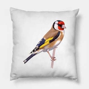 European Goldfinch Pillow