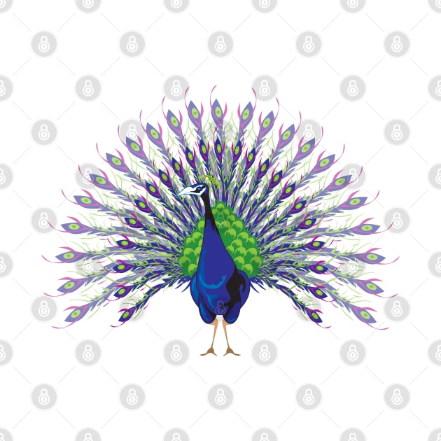 Peacock by The Cuban Witch