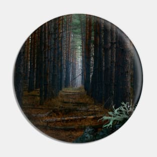 SCENERY 85 - Dark Forest Tree Woodland Natural Environment Pin