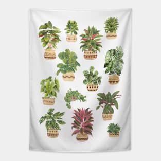 House plants collection Tapestry