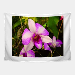 Orchid Study 5 Tapestry