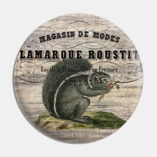 Dark Academia french country scripts woodland animal squirrel Pin