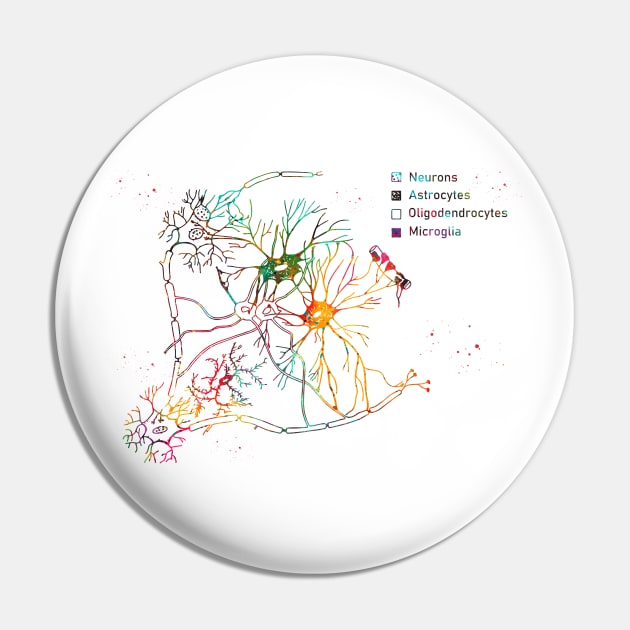 Cortical pyramidal cells Pin by erzebeth