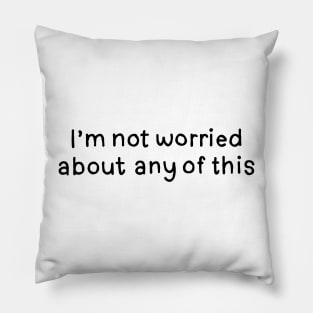 I'm not worried. Tim Robinson Pillow