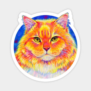 Colorful Orange Tabby Cat Magnet