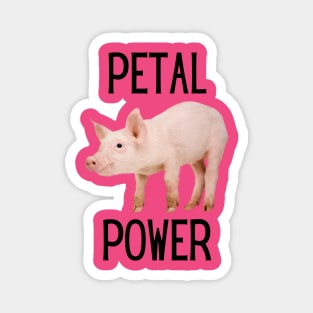 Petal Power Kirk’s Pig Magnet