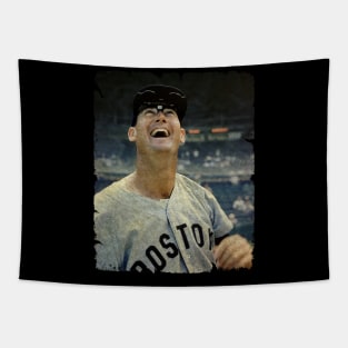 Ted Williams - (The Splendid Splinter) Tapestry