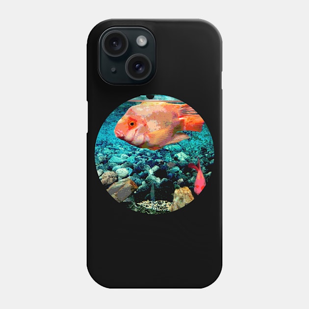 Aquarium Orange Fish Phone Case by Kikabreu