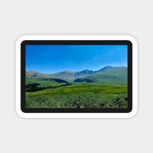 Colorado Mountain Landscape Magnet