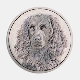 Boykin Spaniel Pin