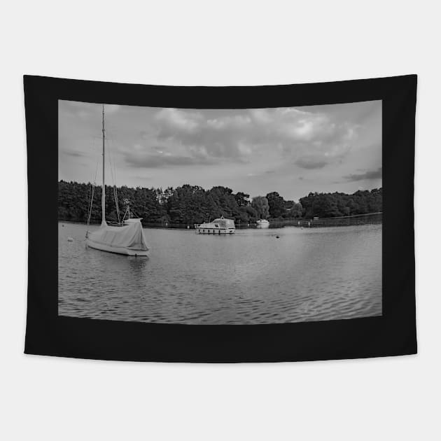 A view over Wroxham Broad in the Norfolk Broads National Park Tapestry by yackers1