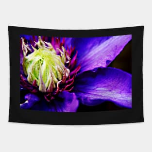 Purple Clematis flower macro Tapestry