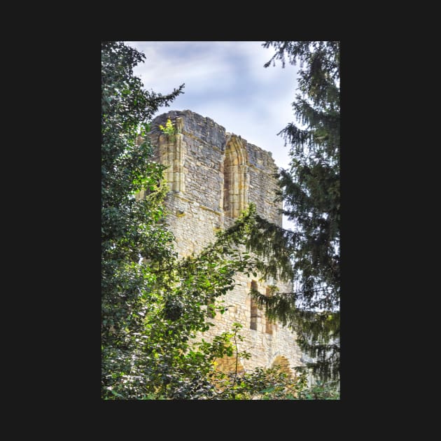 Much Wenlock-Priory by jasminewang