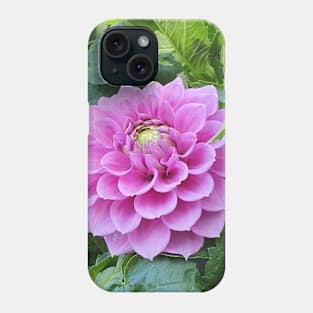 Light Pink Dahlia Phone Case