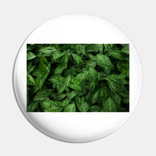 Aestthetic leaves Pin