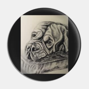 Dog De Bordeaux Pin