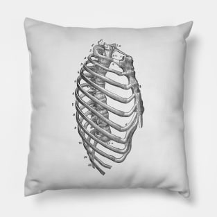 Rib Cage Diagram - Vintage Anatomy Pillow