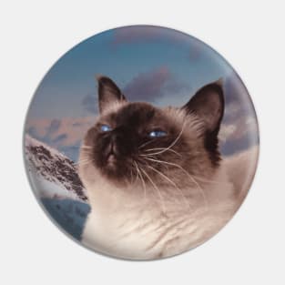 Siamese cat in the mountain sky portrait painting Pin