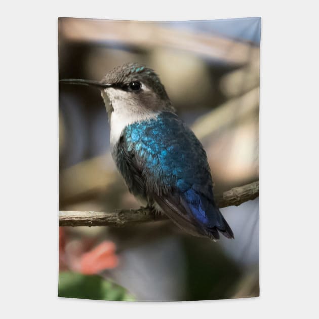 Bee Hummingbird Tapestry by opticpixil