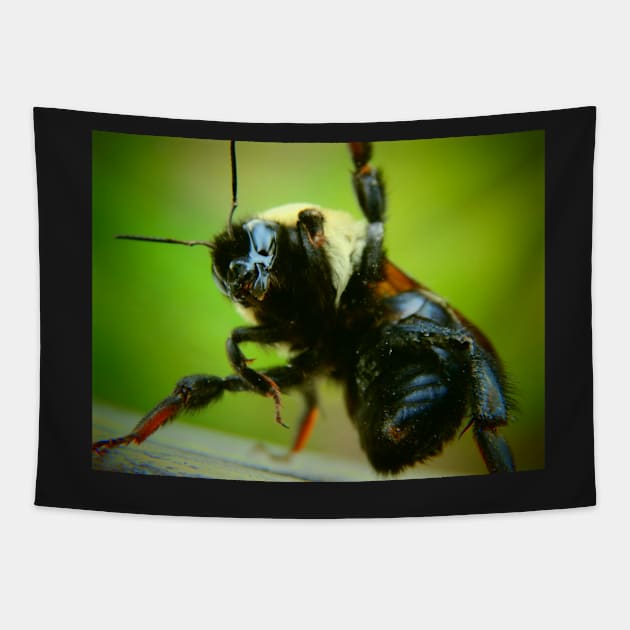 Waving Bee Tapestry by TrapperWeasel