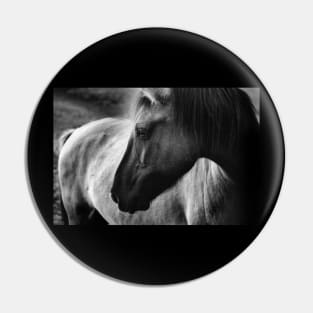 horse, black and white Pin