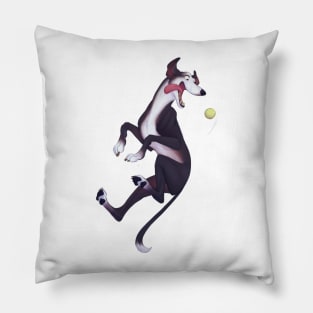 Greyhound – pink background Pillow