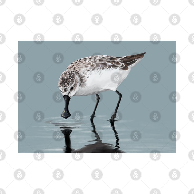 Spoon-billed Sandpiper by BarefootSeeker