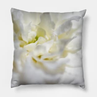 white Rose - close up Pillow