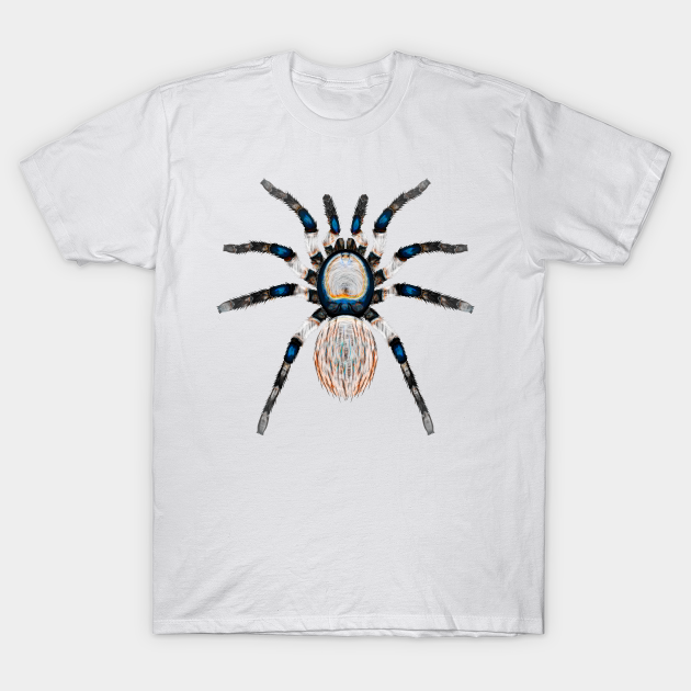 Discover Spider Variations On A Theme - Spider - T-Shirt