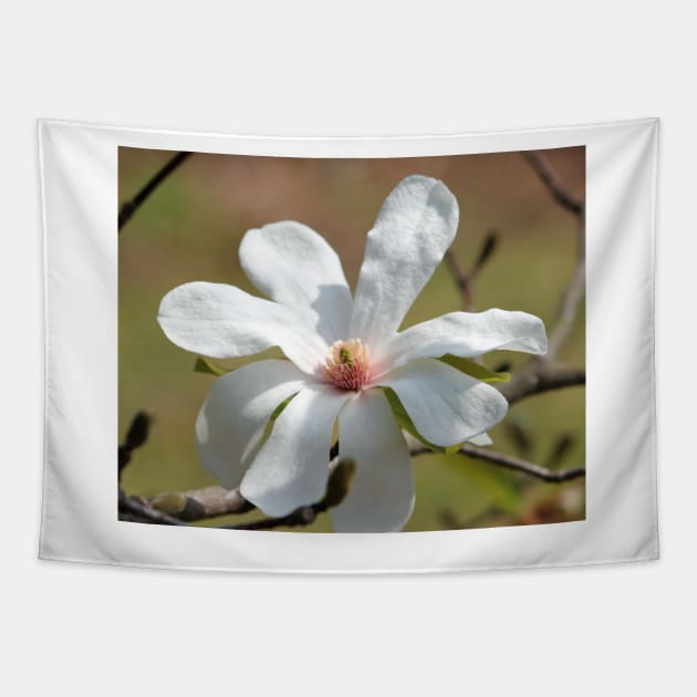 Magnolia Blossom Tapestry by Cynthia48