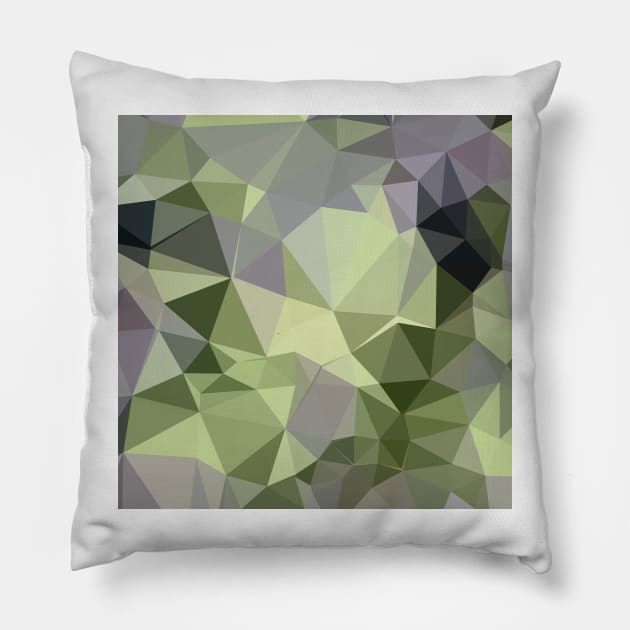 Asparagus Green Abstract Low Polygon Background Pillow by retrovectors