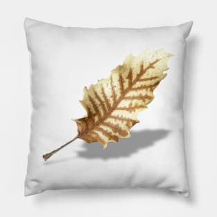 Brown Fall Leaf on White Background Pillow