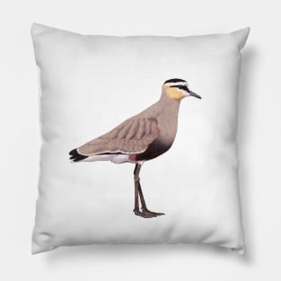 Sociable Lapwing illustration Pillow