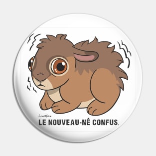 Le Nouveau-né Confus - FR - Lièvre D'Europe Pin