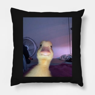 Funny duck Pillow