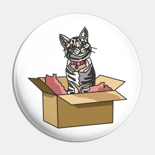 Tabby Cat in a Box Pin