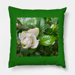 Gardenia flower Pillow