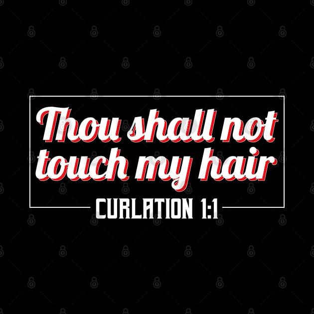 Thou Shall Not Touch My Hair - Gift Afro Hair by giftideas