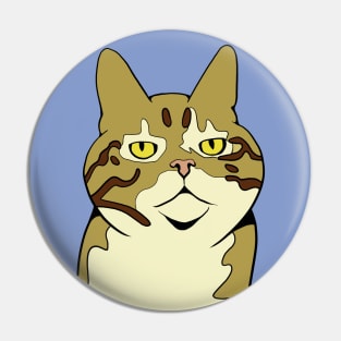 Serious Cat - Funny Animal Design Pin